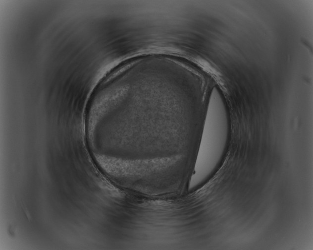 X0000093101280200710171152