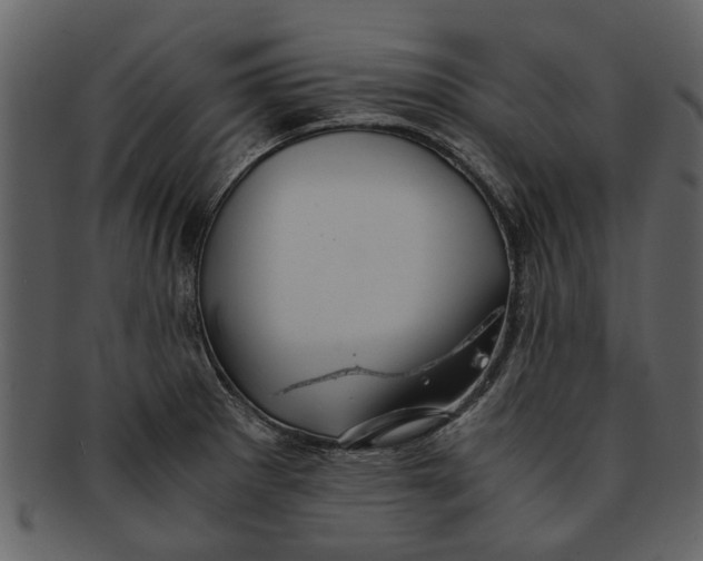 X0000093101281200710171152
