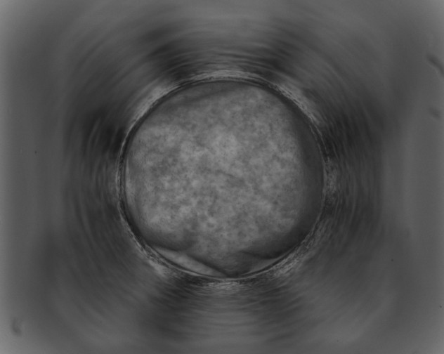 X0000093101282200710171152