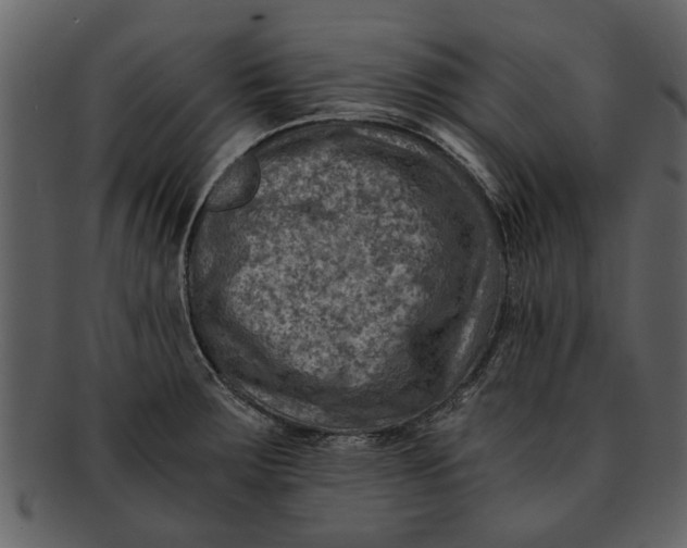 X0000093101283200710171152