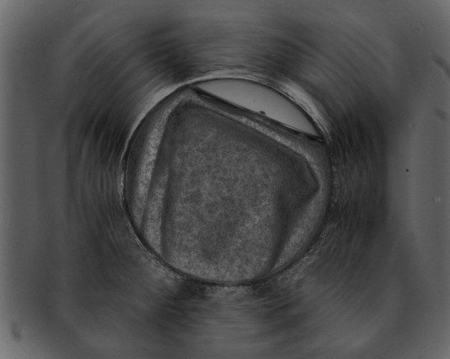 X0000093101284200710171152