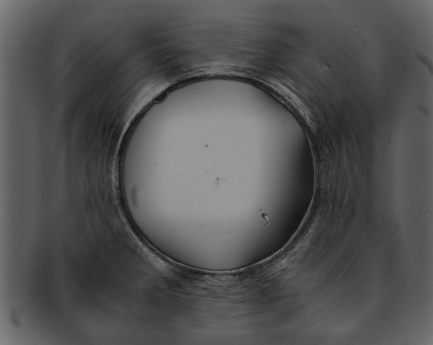 X0000093101285200710171152