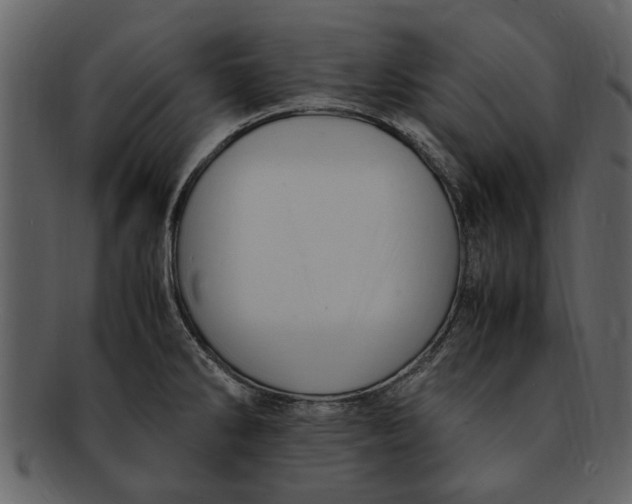 X0000093101286200710171152