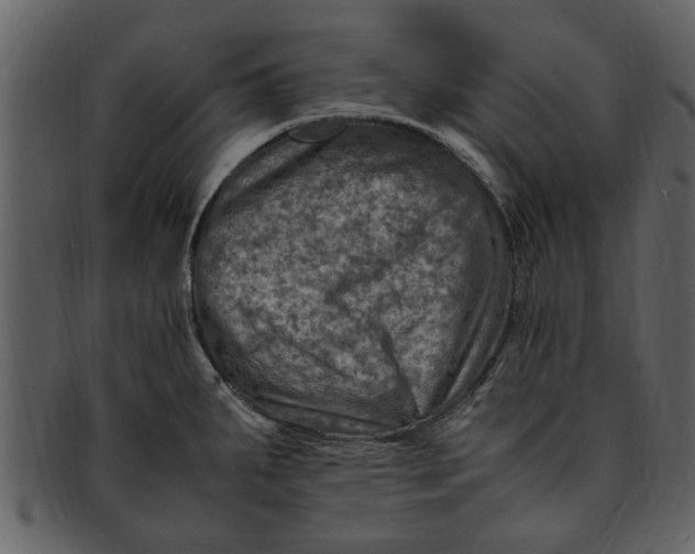 X0000093101287200710171152