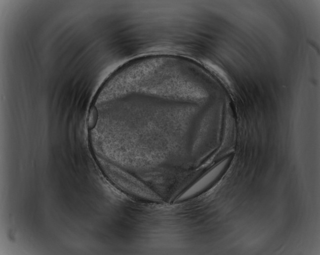 X0000093101288200710171152