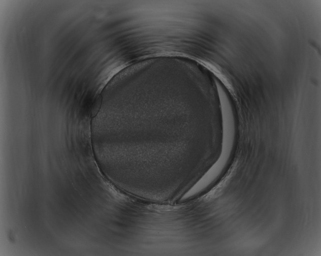 X0000093101289200710171152