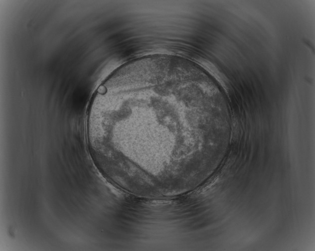 X0000093101290200710171152