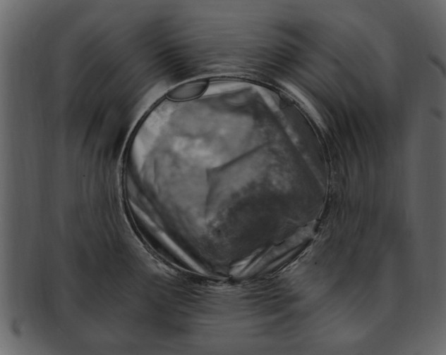 X0000093101291200710171152