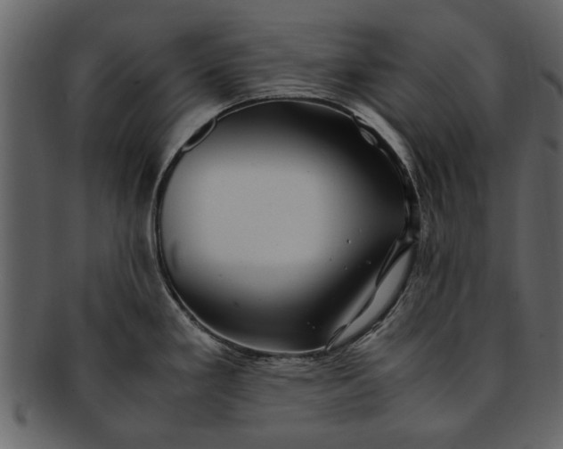 X0000093101293200710171152