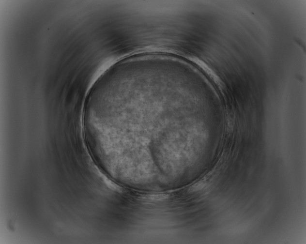 X0000093101294200710171152