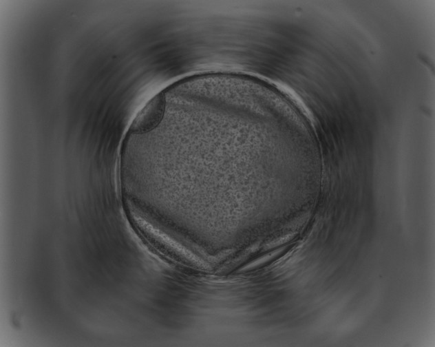 X0000093101295200710171152