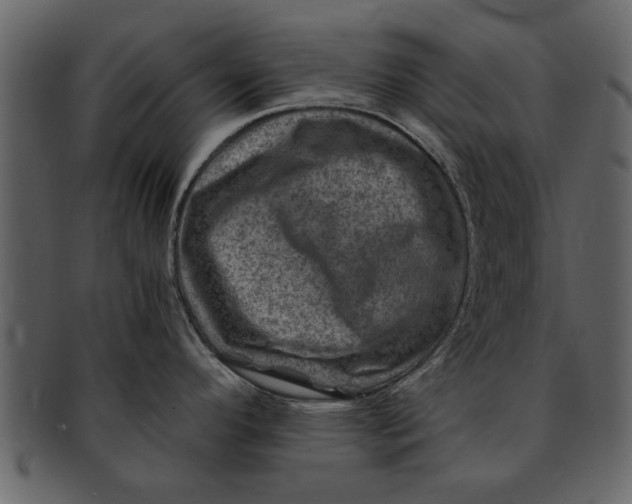 X0000093101296200710171152