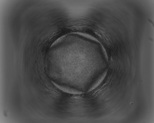 X0000093101297200710171151