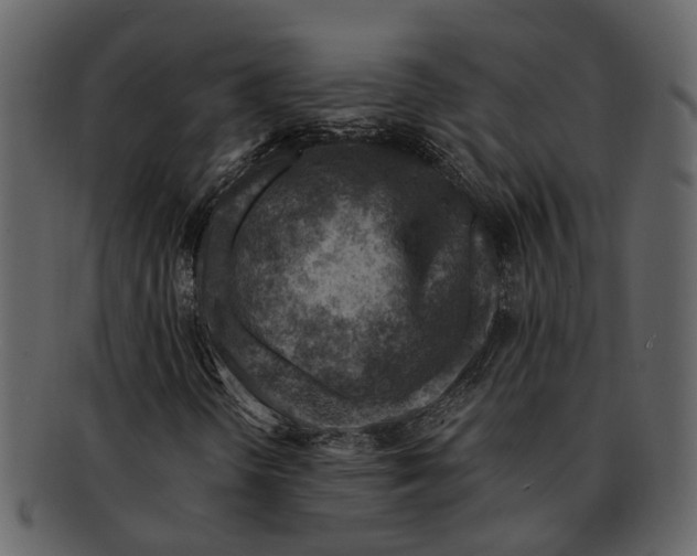 X0000093101298200710171151