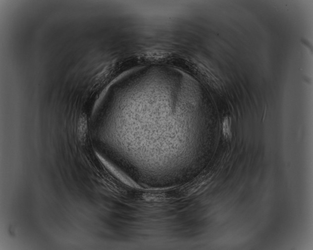 X0000093101299200710171151