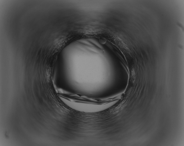 X0000093101300200710171151