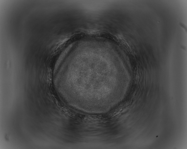 X0000093101301200710171151
