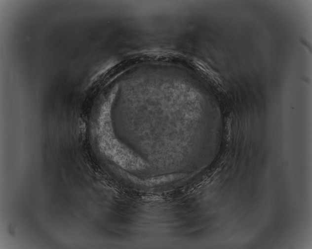 X0000093101302200710171151