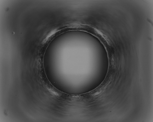 X0000093101304200710171151