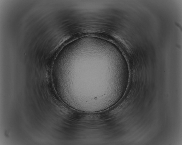 X0000093101305200710171151