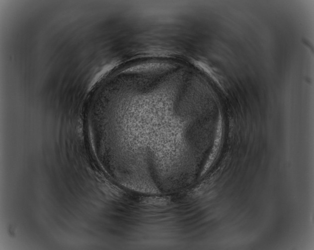 X0000093101307200710171151