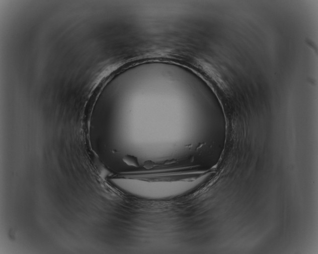 X0000093101308200710171151