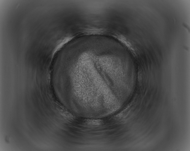 X0000093101309200710171151