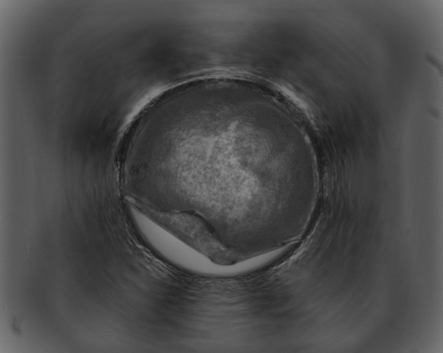 X0000093101310200710171151