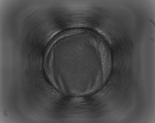 X0000093101313200710171151