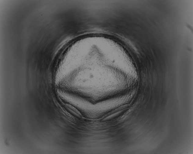 X0000093101318200710171152