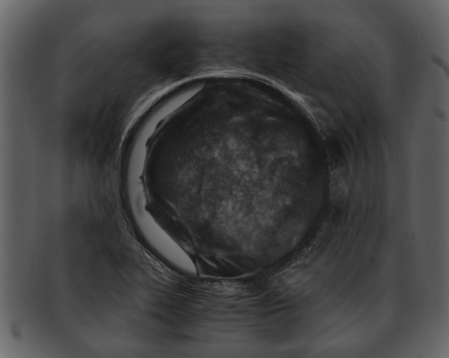 X0000093101319200710171152