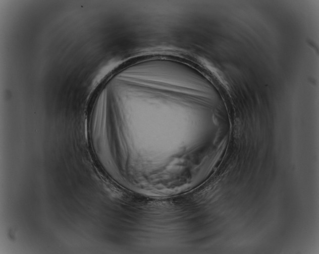 X0000093101320200710171152