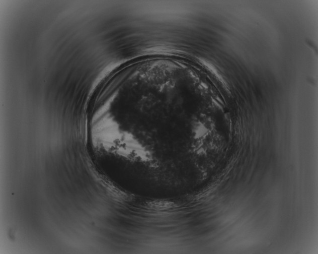 X0000093101323200710171152