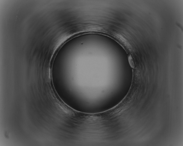 X0000093101324200710171152