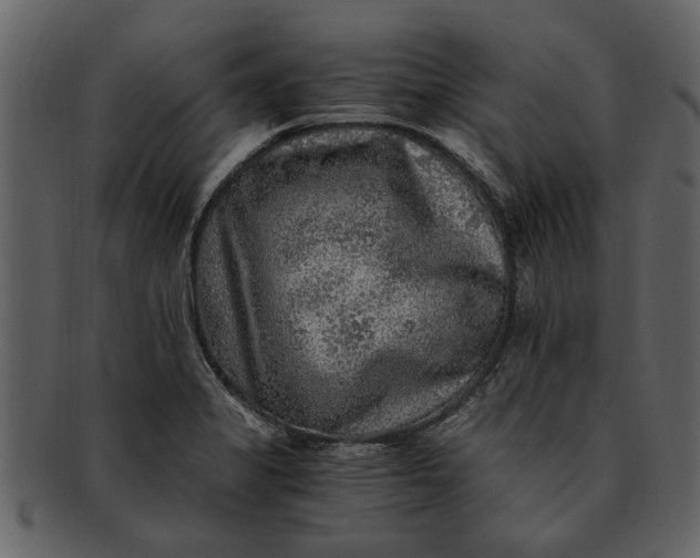 X0000093101325200710171152