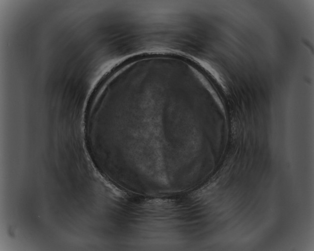 X0000093101327200710171152