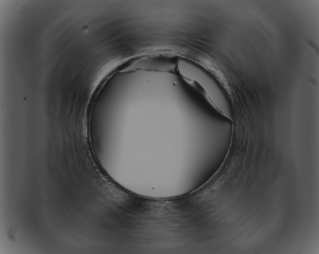 X0000093101328200710171152