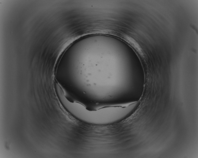 X0000093101332200710171152