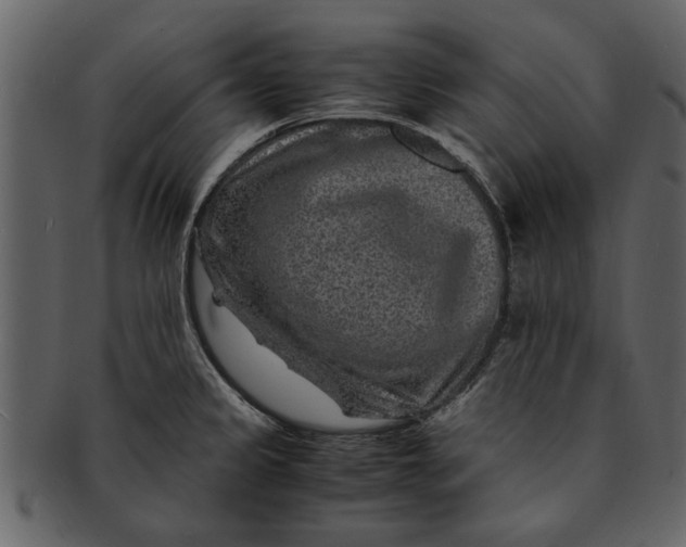 X0000093101333200710171152