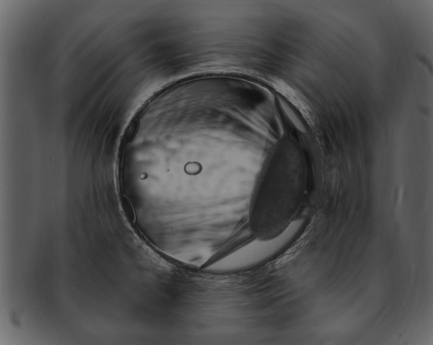 X0000093101334200710171152