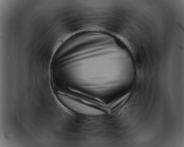 X0000093101335200710171152