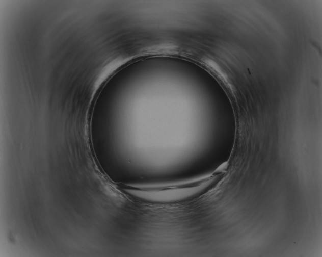 X0000093101336200710171152