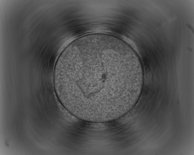 X0000093101338200710171152