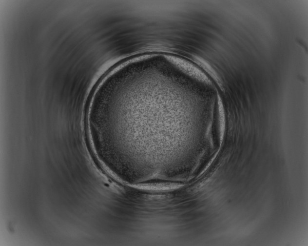 X0000093101339200710171152