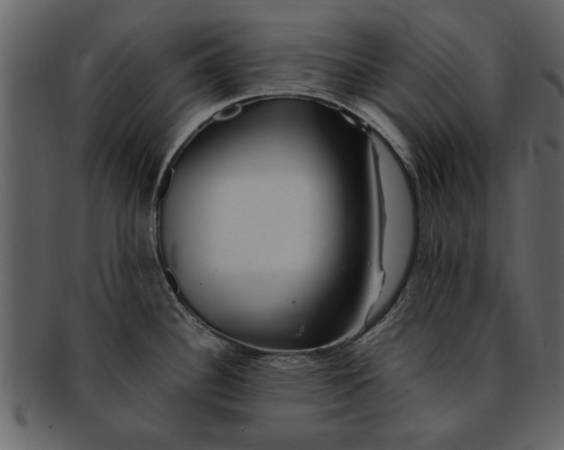 X0000093101340200710171152