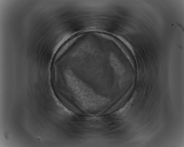 X0000093101341200710171152