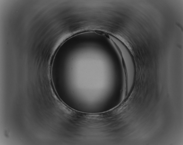 X0000093101342200710171152