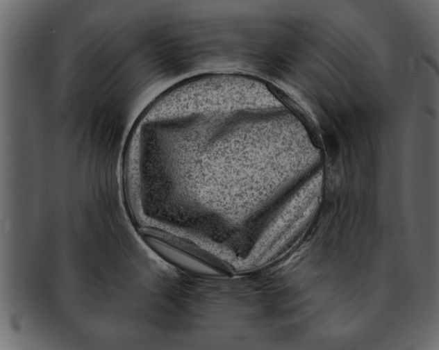 X0000093101343200710171152