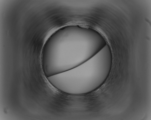 X0000093101344200710171152