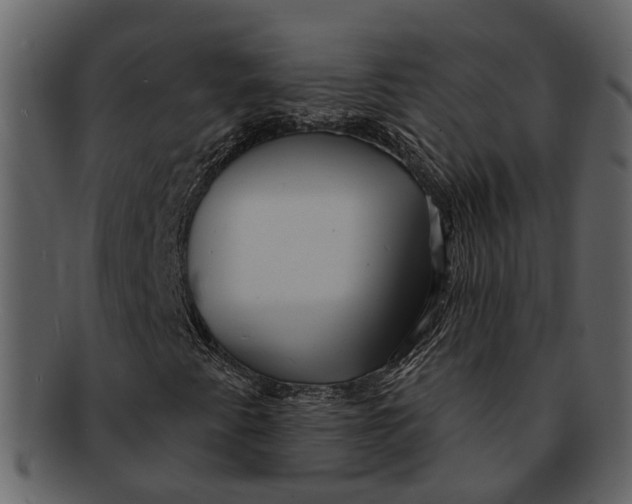 X0000093101345200710171151